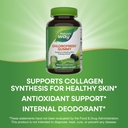 nature-s-way-chlorofresh-chlorophyll-gum-4.jpg