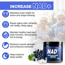nad-supplement-liposomal-nicotinamide-ri-6.jpg