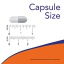 now-vitamin-b-6-100mg-250-capsules-pack--5.jpg