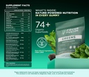 focus-fusion-supergreen-superfood-gummie-3.jpg
