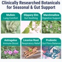 shizam-slippery-elm-mullein-leaf-marshma-4.jpg
