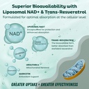 nad-supplement-pure-organic-nmn-suppleme-3.jpg