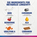 metabolic-balance-pro-cellular-energy-nu-5.jpg