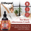 life-cykel-this-is-it-pack-chaga-lion-s--6.jpg