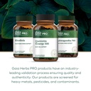 gaia-herbs-pro-quercetin-synergy-500-imm-6.jpg
