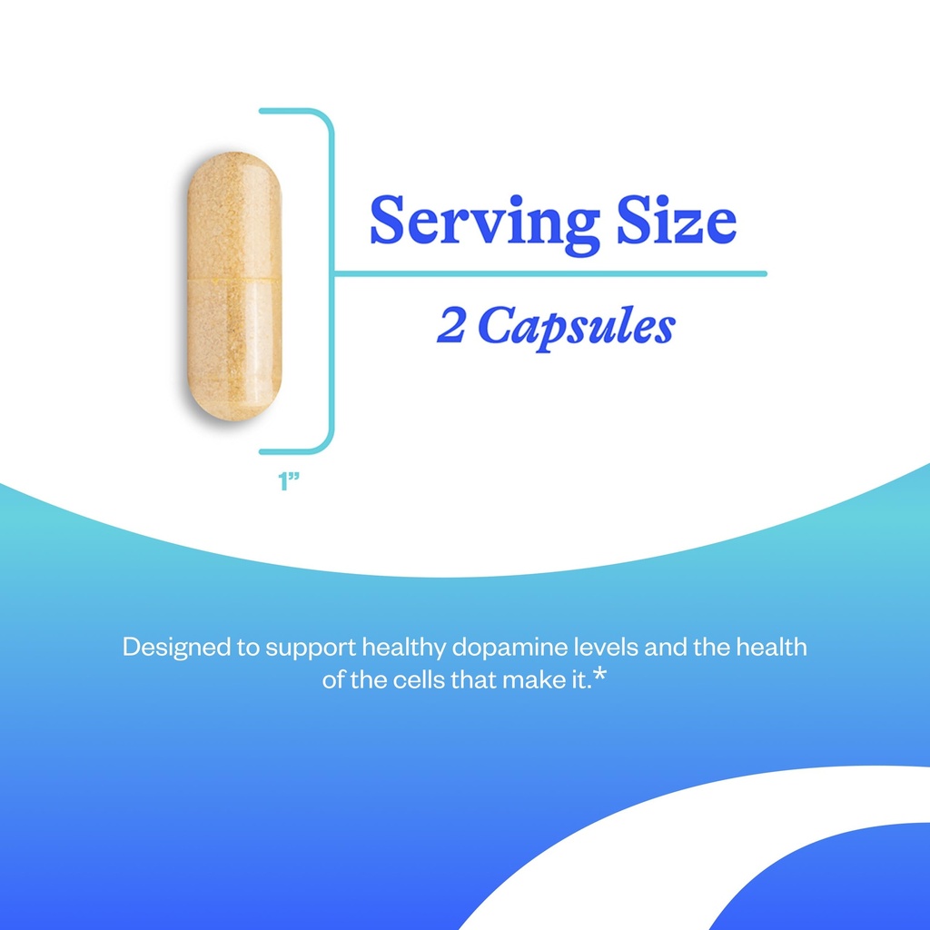 seeking-health-dopamine-nutrients-energy-3.jpg