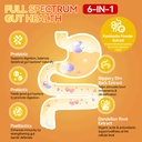 probiotic-kombucha-gummies-sugar-free-pr-5.jpg