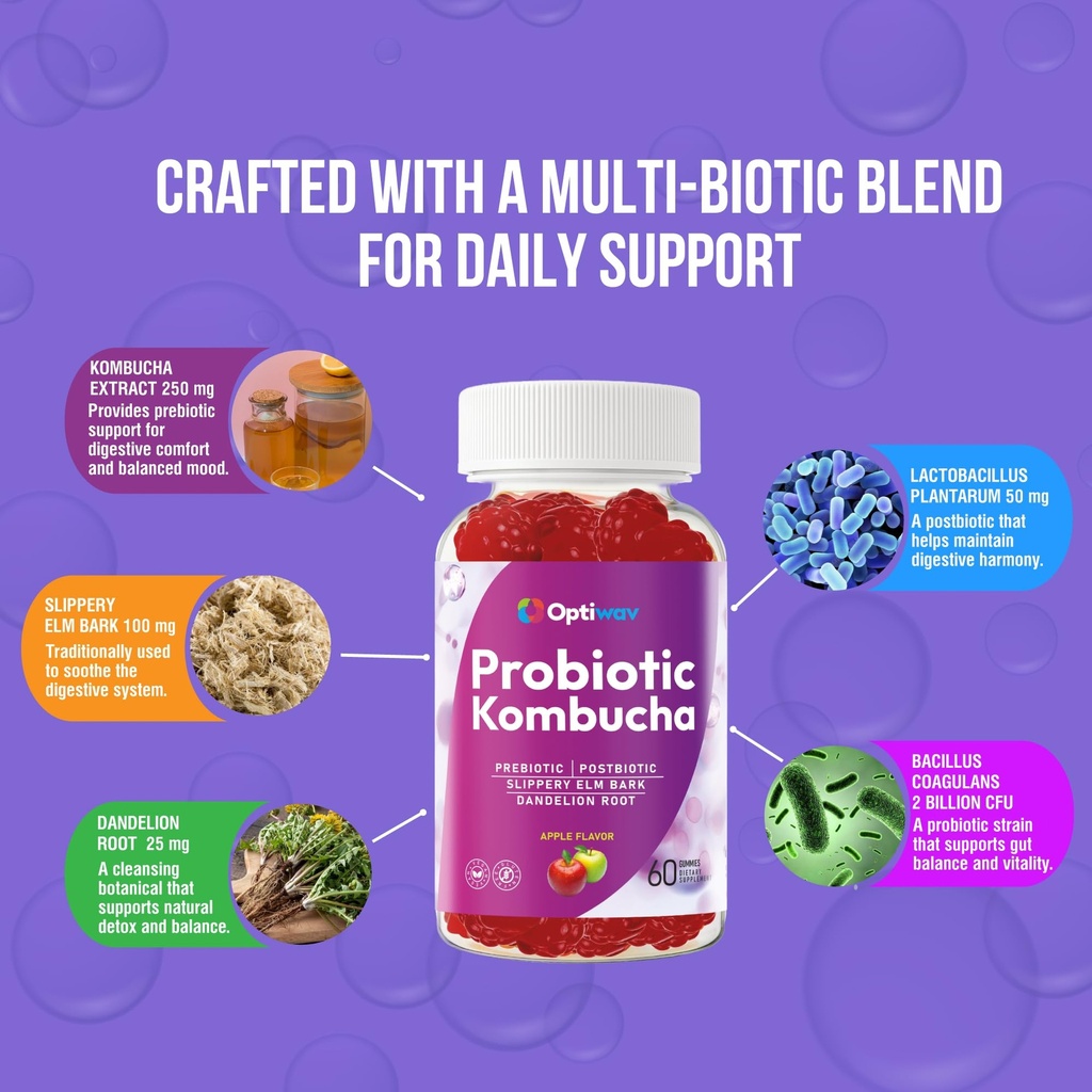 probiotic-kombucha-gummies-for-women-men-4.jpg