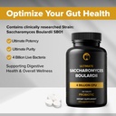 saccharomyces-boulardii-probiotic-supple-2.jpg