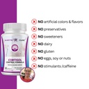 cortisol-stress-balance-calm-recovery-da-6.jpg