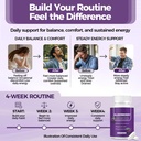black-elderberry-immune-gut-support-comp-5.jpg