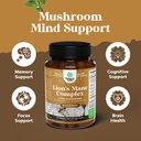 advanced-lion-s-mane-mushroom-supplement-4.jpg