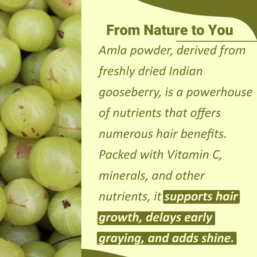 usda-organic-amla-powder-amla-fruit-powd-2.jpg