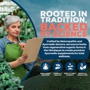 ayush-herbs-curcumin-97-curcumin-supplem-6.jpg