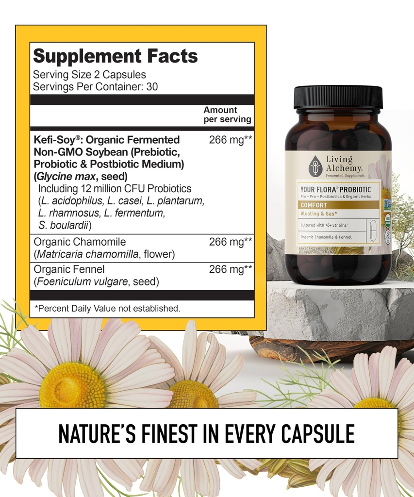 your-flora-probiotic-comfort-non-gmo-pro-2.jpg