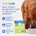 native-pet-gutwell-trim-down-weight-mana-2.jpg
