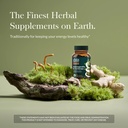 gaia-herbs-adaptogen-performance-energy--2.jpg