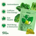 plant-people-wondergreens-veggie-gummies-4.jpg