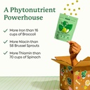 plant-people-wondergreens-veggie-gummies-2.jpg