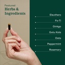 gaia-herbs-pro-cognitive-formula-brain-h-4.jpg