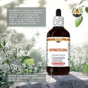 hawaii-pharm-spirulina-extract-tincture--5.jpg
