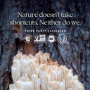 new-chapter-nerve-health-supplement-for--5.jpg