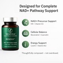 xenivra-regenix-nad-supplement-nad-boost-4.jpg