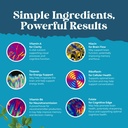 nootropic-brain-supplement-for-memory-an-4.jpg