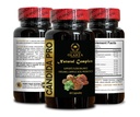 candida-support-complex-arabinogalactan--4.jpg