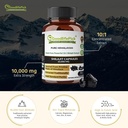 in-1-elderberry-with-zinc-vitamin-c-vita-4.jpg