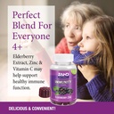 zand-immune-health-power-bundle-immune-f-4.jpg