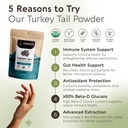 organic-turkey-tail-mushroom-powder-supp-3.jpg