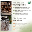 organic-turkey-tail-mushroom-powder-supp-5.jpg