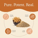 real-mushrooms-cordyceps-for-humans-120c-4.jpg