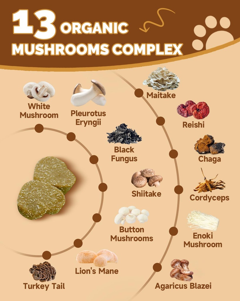 turkey-tail-for-dogs-9-organic-mushroom--5.jpg
