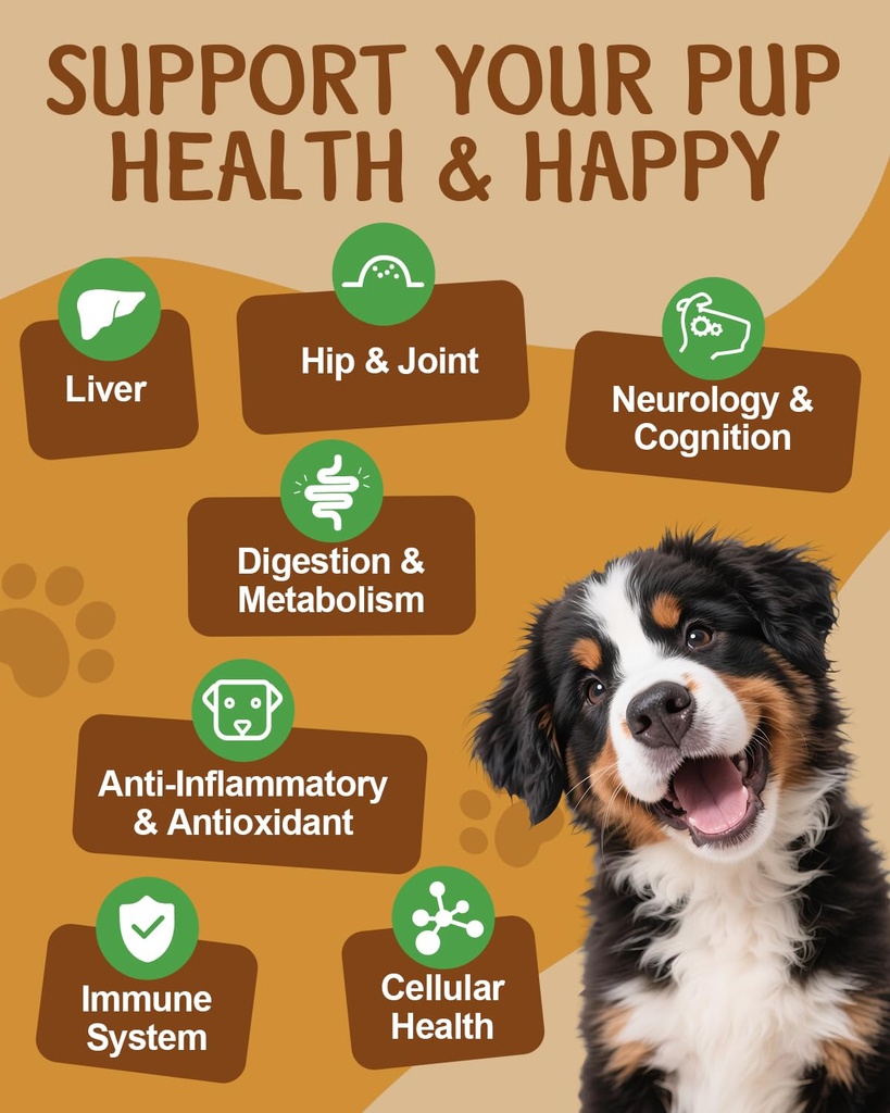turkey-tail-for-dogs-9-organic-mushroom--6.jpg