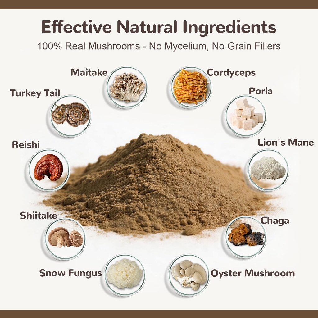 turkey-tail-mushroom-powder-for-dogs-org-3.jpg