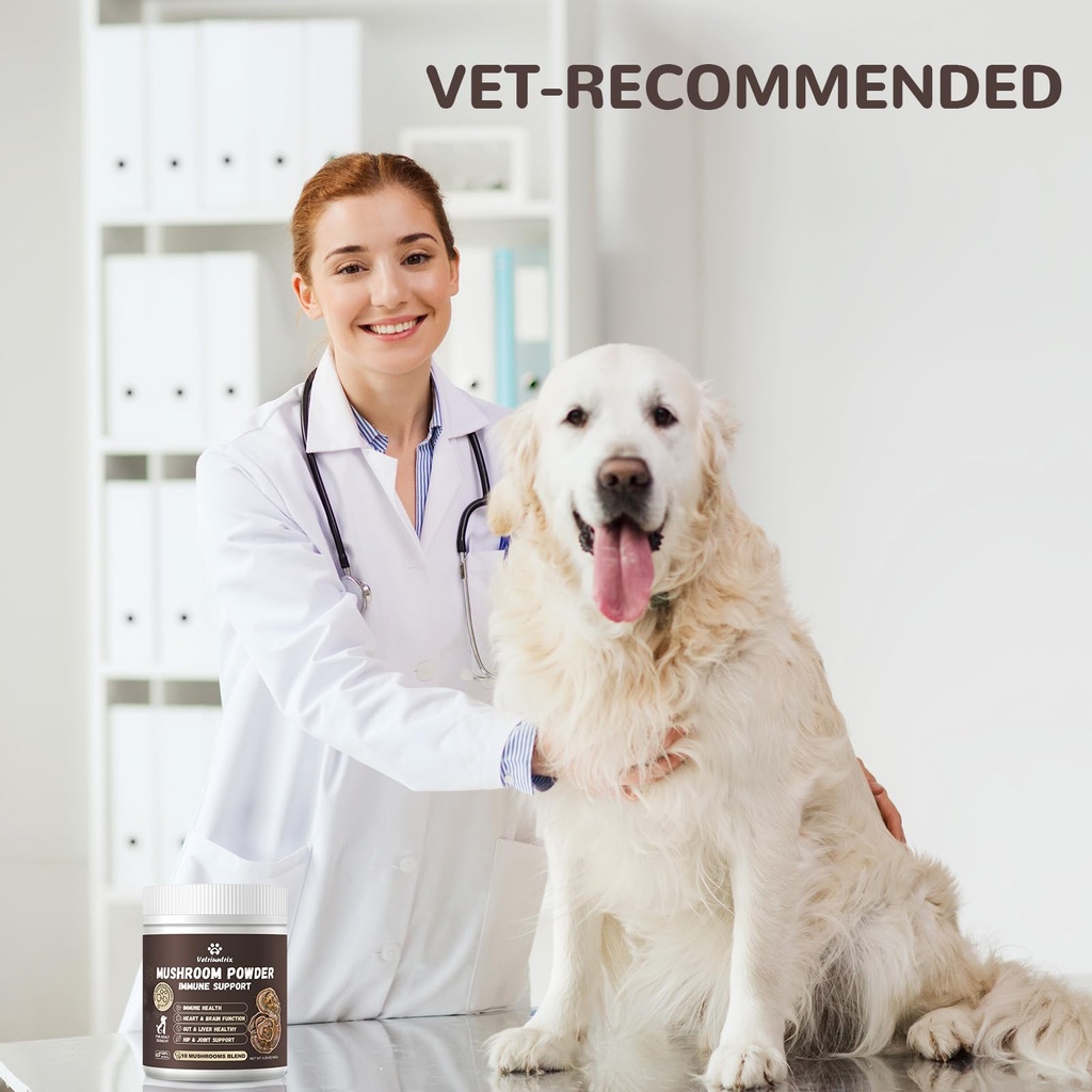 turkey-tail-mushroom-powder-for-dogs-org-4.jpg