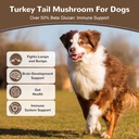 turkey-tail-mushroom-powder-for-dogs-org-2.jpg