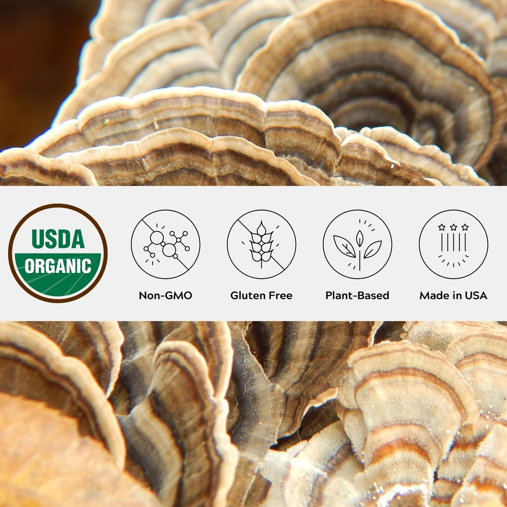 one-farm-by-waayb-organic-turkey-tail-mu-2.jpg