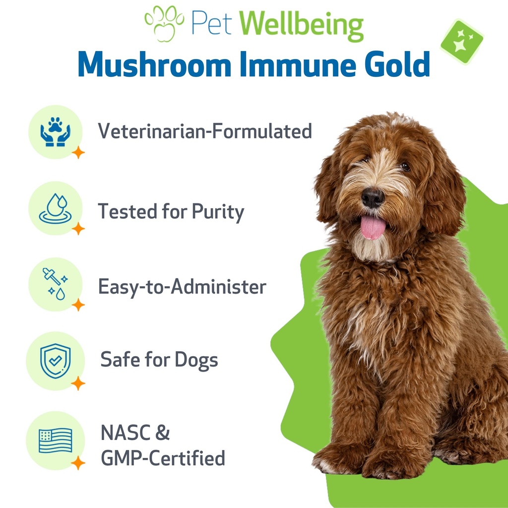 pet-wellbeing-mushroom-immune-gold-for-d-5.jpg