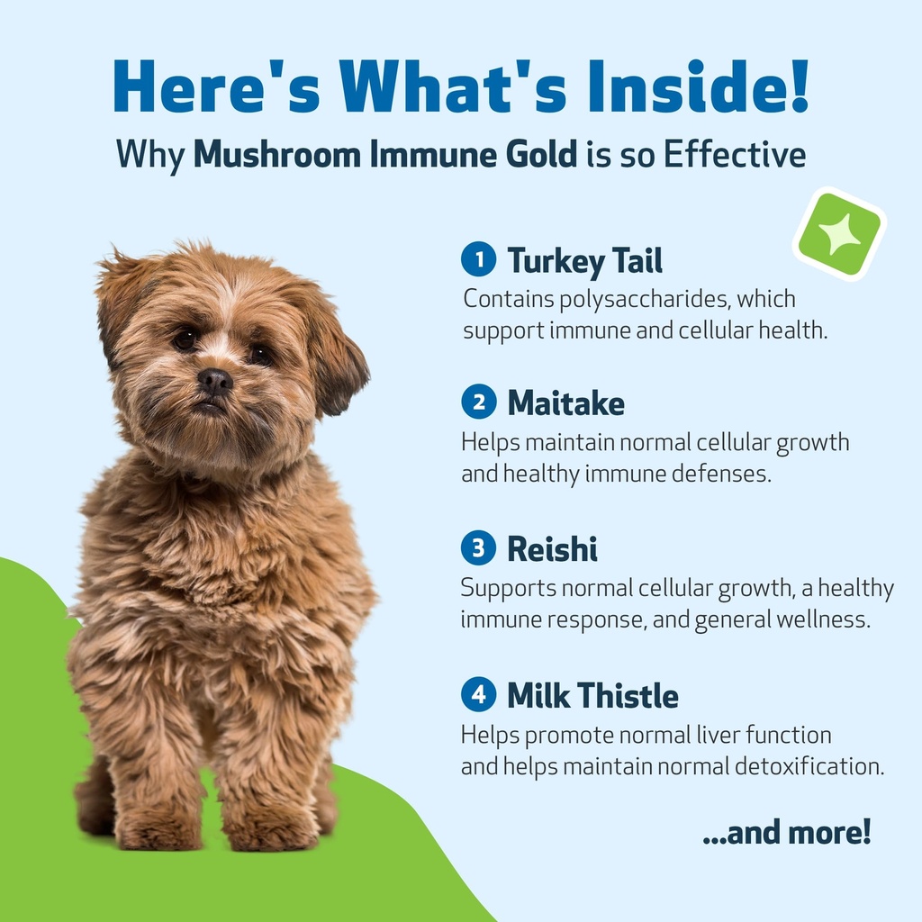 pet-wellbeing-mushroom-immune-gold-for-d-3.jpg