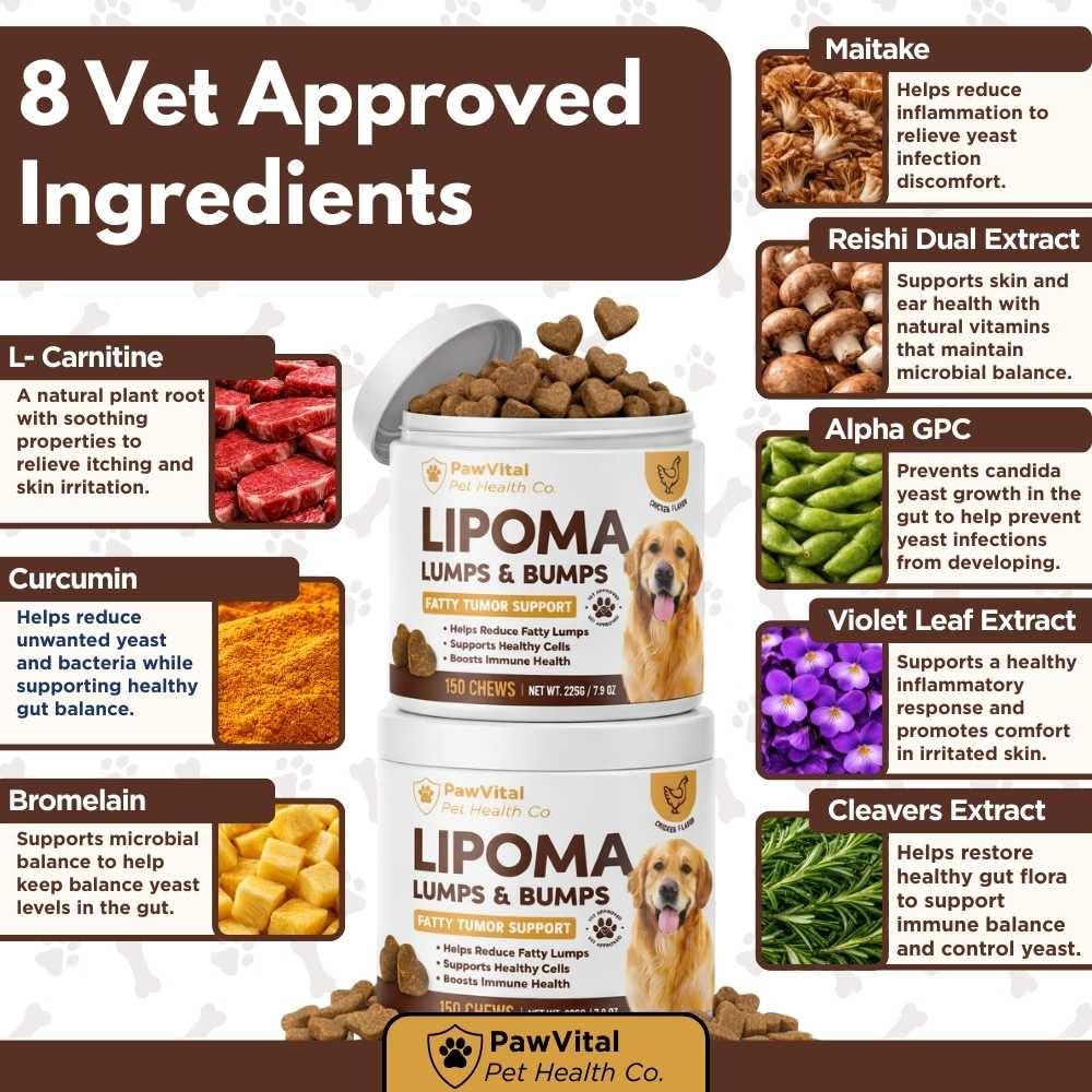 lipoma-treatment-for-dogs-lumps-bumps-su-5.jpg
