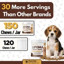 lipoma-treatment-for-dogs-lumps-bumps-su-4.jpg