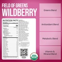 brickhouse-nutrition-field-of-greens-sup-2.jpg