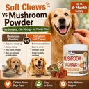turkey-tail-mushroom-for-dogs-tailsphere-3.jpg