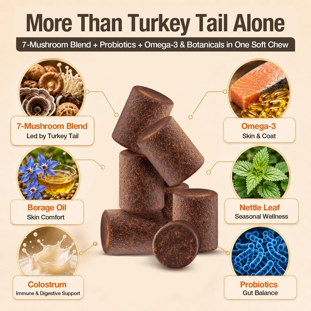 turkey-tail-mushroom-for-dogs-tailsphere-4.jpg
