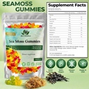 sea-moss-gummies-with-bladderwrack-burdo-2.jpg