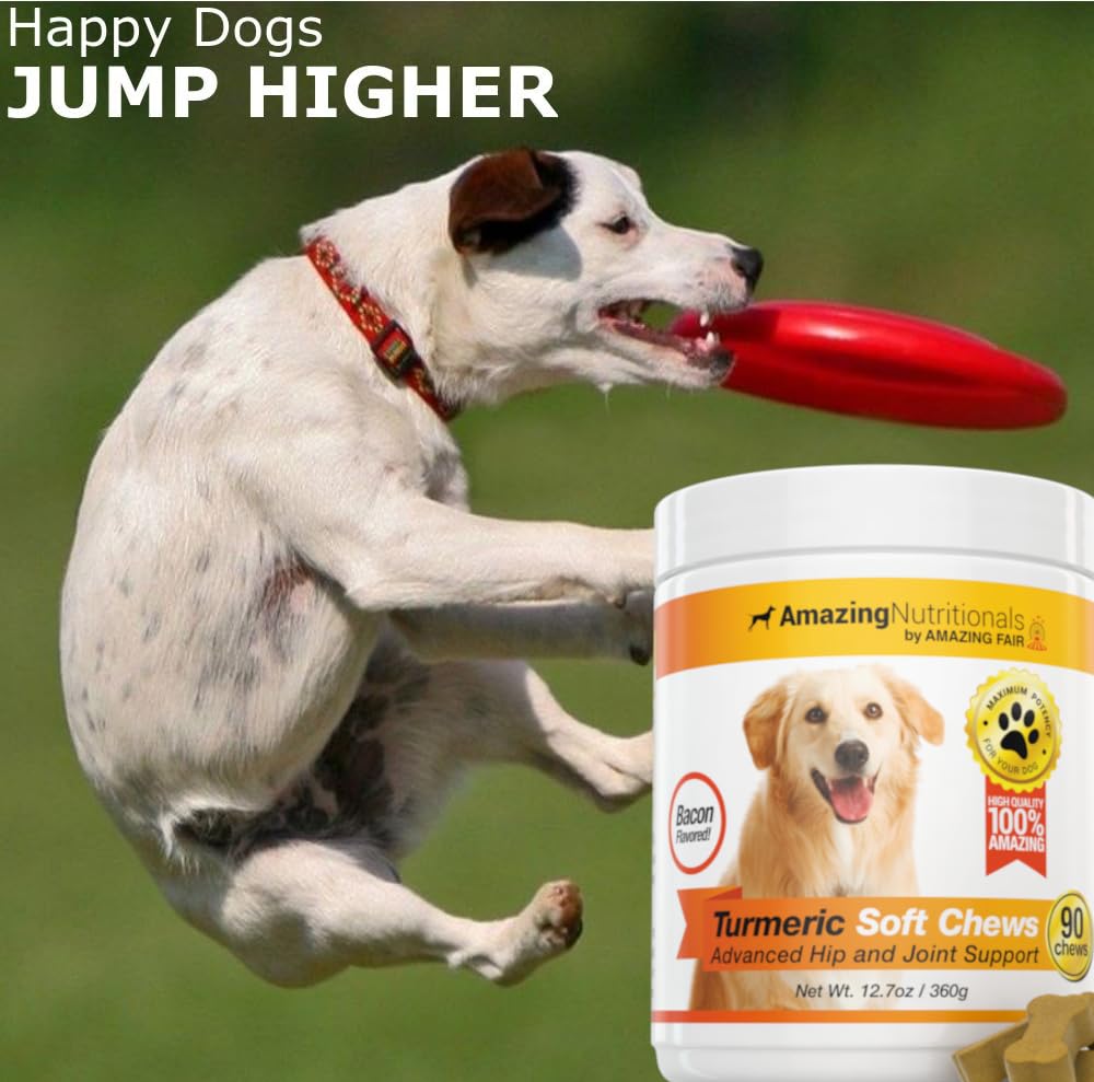 probiotics-for-dogs-digestive-turmeric-j-5.jpg