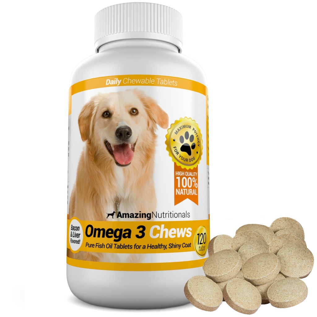 probiotics-for-dogs-digestive-with-dog-s-4.jpg